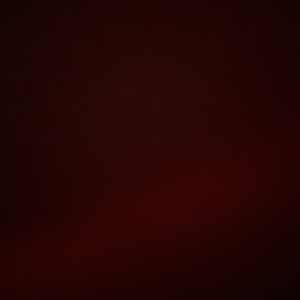 Fundraising Page: Jaden Smith